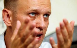 Кто такой Алексей Навальный: биография, борьба с коррупцией, политическая деятельность