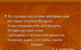 Presentación sobre el tema de la biografía de Anna Andreevna Akhmatova Temas de presentaciones sobre el trabajo de Akhmatova