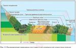 Zonalidad geográfica Ejemplos de zonificación geografía