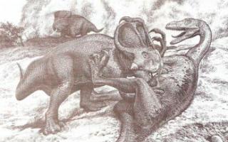 Разбор гипотез о вымирании динозавров